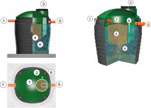 unpaid Clap Telegraph Fose Septice