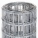 PLASA SUDATA ZINCATA 2M/20ML